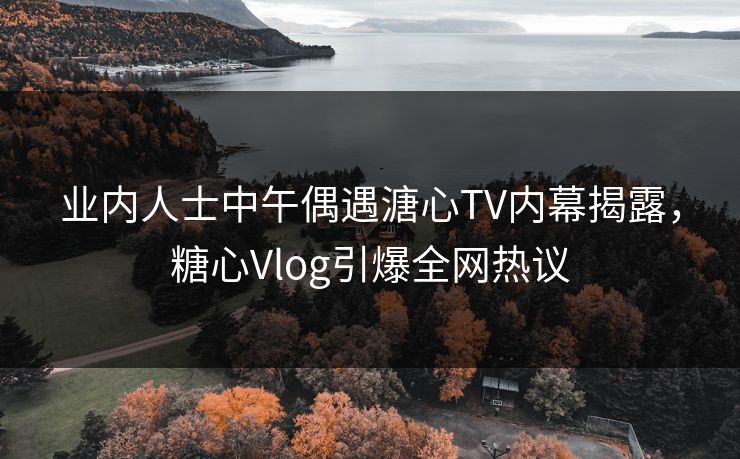 业内人士中午偶遇溏心TV内幕揭露，糖心Vlog引爆全网热议