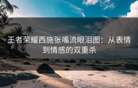 王者荣耀西施张嘴流眼泪图：从表情到情感的双重杀