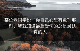 某位老同学说“你自己心里有数”那一刻，我就知道最后受伤的总是最认真的人