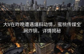 大V在昨晚遭遇爆料动情，蜜桃传媒全网炸锅，详情揭秘