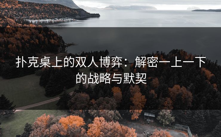 扑克桌上的双人博弈:解密一上一下的战略与默契 扑克桌上的双人博弈:解密一上一下的战略与默契